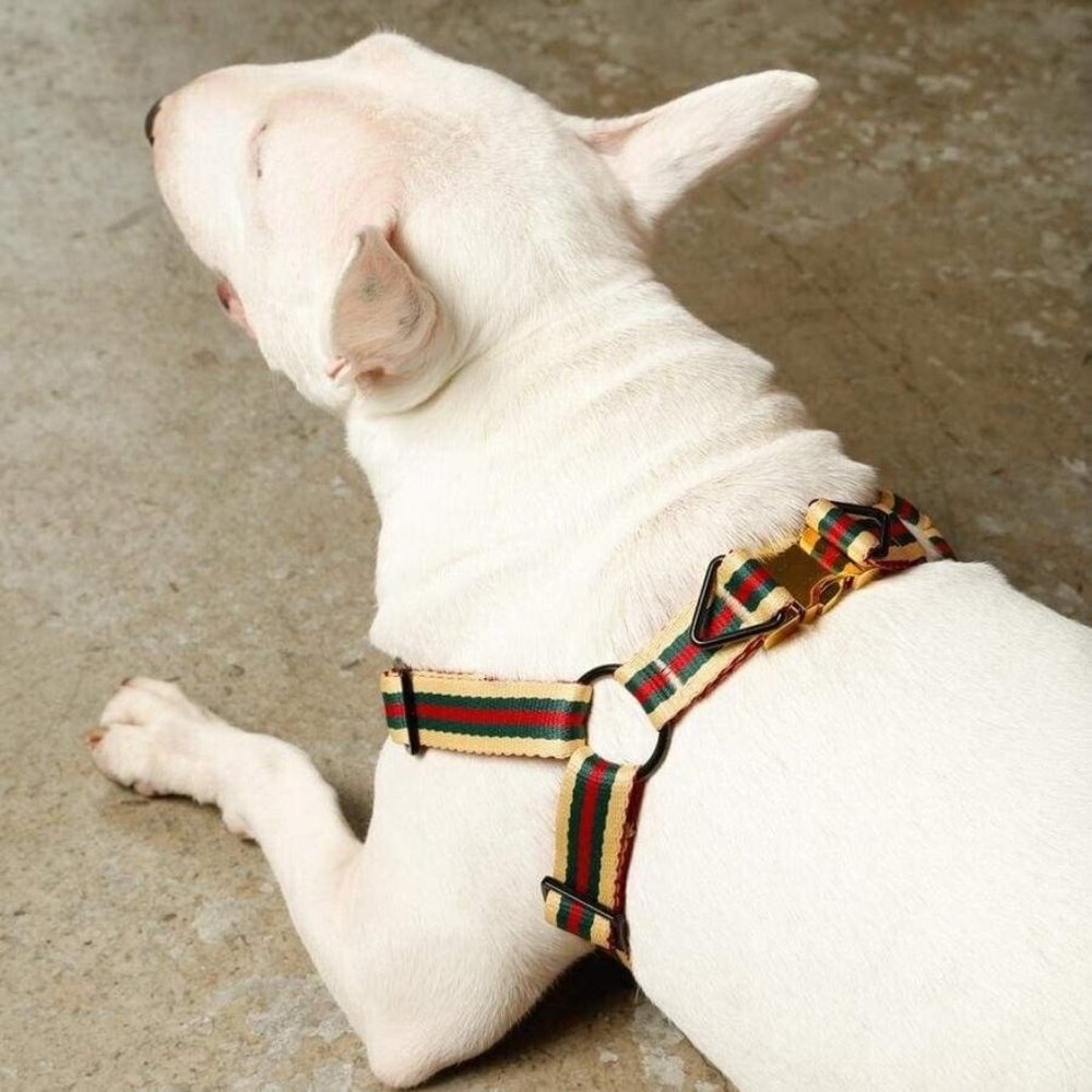 Saint Rue Dog Harness & Leash Set Designer BNWT New Medium sarahashleynyc saraha